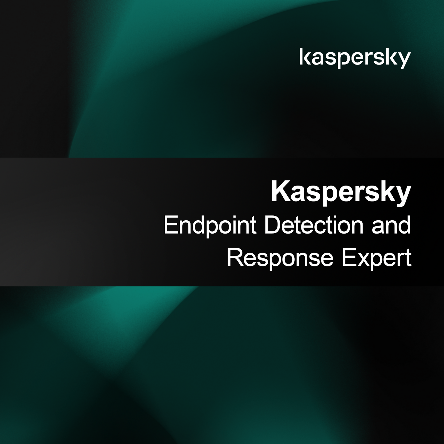Kaspersky Endpoint Detection and Response -asiantuntija