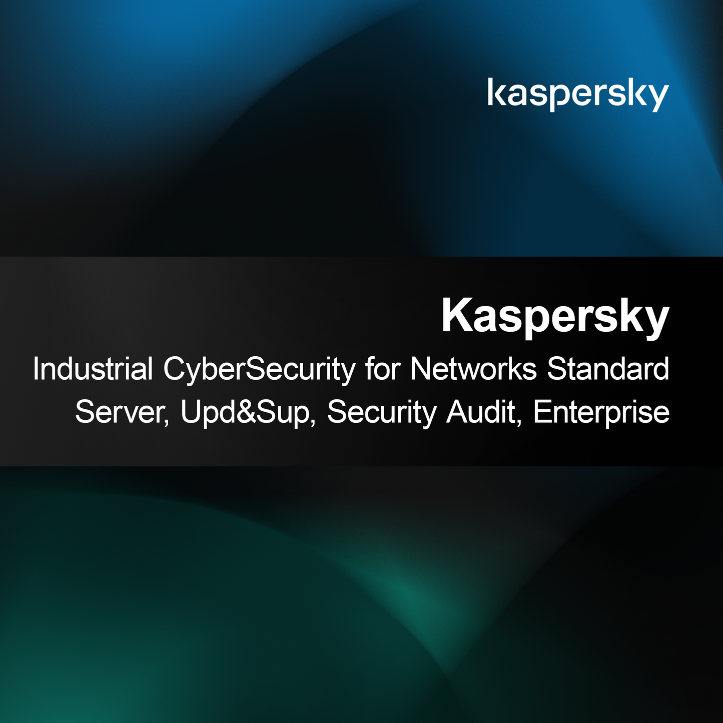 Kaspersky Industrial CyberSecurity for Networks Standard Server, Päivitys ja Tuki, Turvallisuustarkastus, Yritys